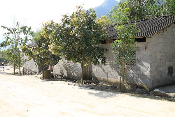 美麗廣西鄉村建設建築藝術學院赴廣西河池市金城江區保平鄉開展美麗